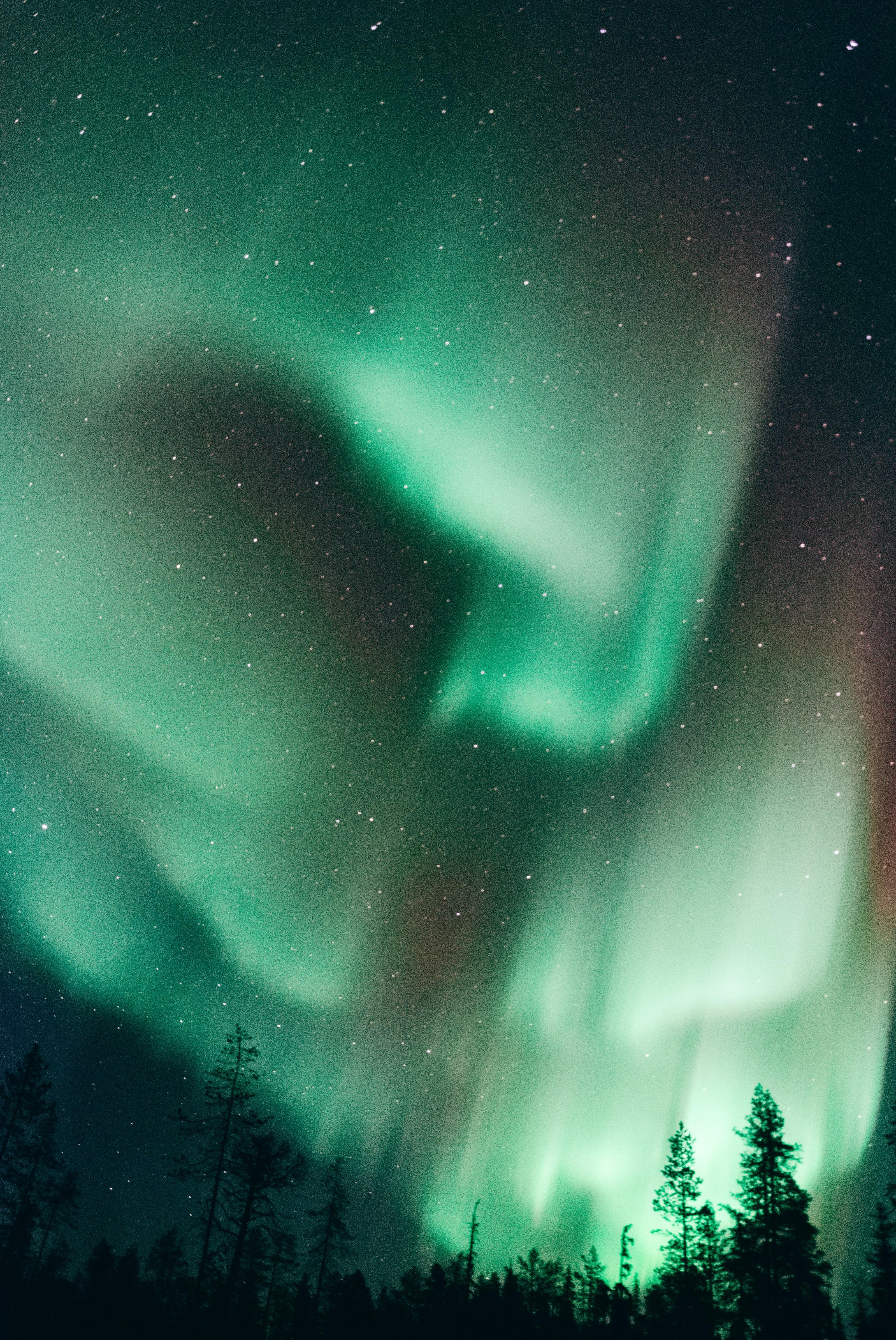 The Northern lights of Finland             January 22 — January 29, 2026 • 8 Days • 12 Meals